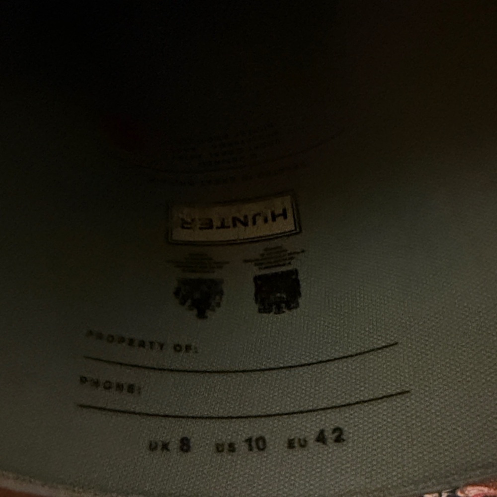 Hunter Blue Zebra Pattern Boots - image 6